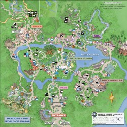 Disney Animal Kingdom
