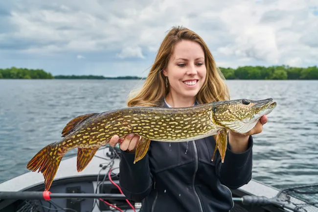 Pike Fishing