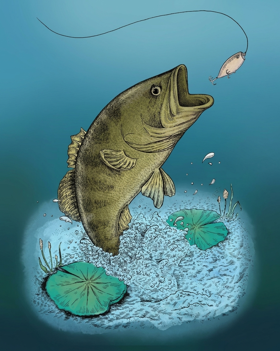 Michigan Bass